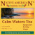 Calm Waters Herbal Tea – 12 Tea Bags (Caffeine-Free)
