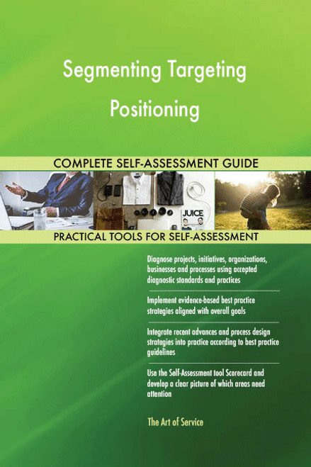 Segmenting Targeting Positioning Toolkit