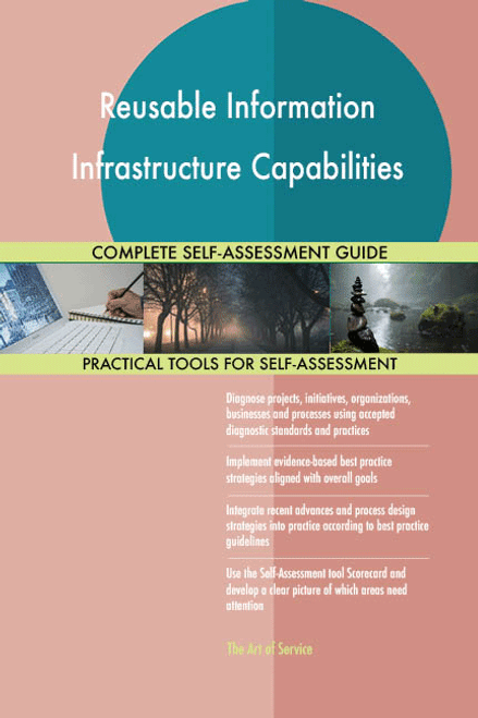 Reusable Information Infrastructure Capabilities Toolkit
