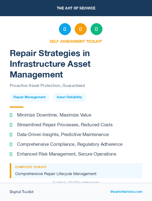 Repair Strategies in Infrastructure Asset Management