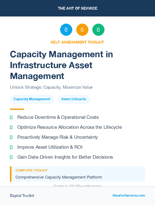 Capacity Management in Infrastructure Asset Management
