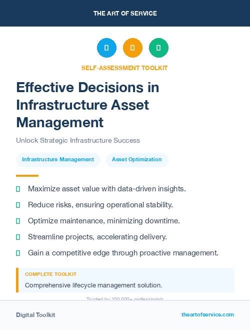 Effective Decisions in Infrastructure Asset Management