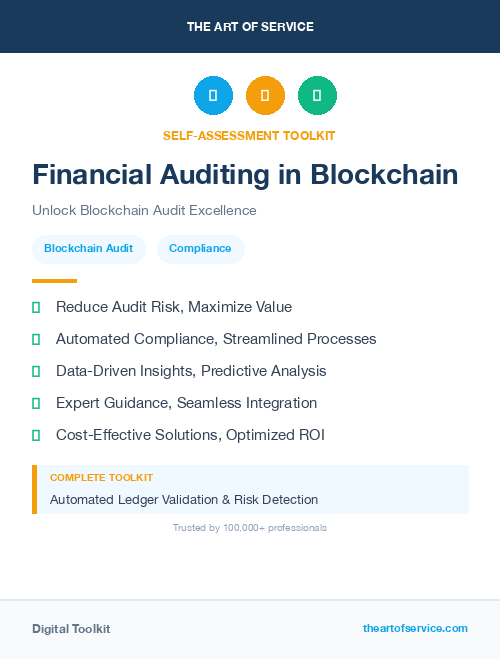 Financial Auditing in Blockchain