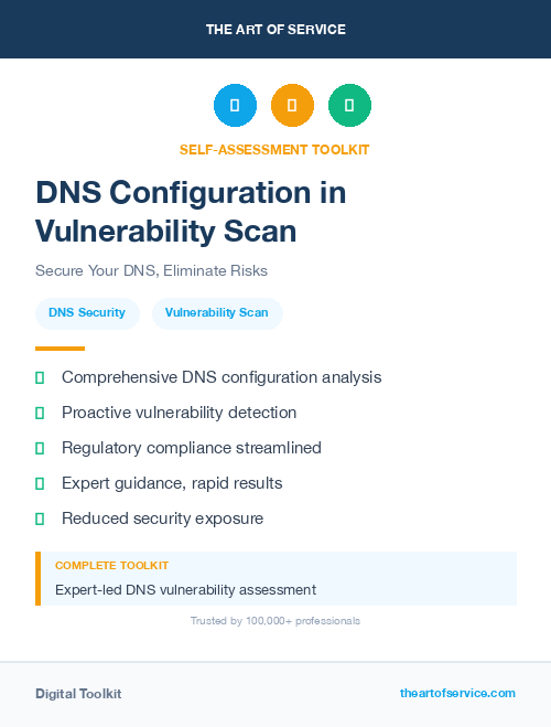 DNS Configuration in Vulnerability Scan