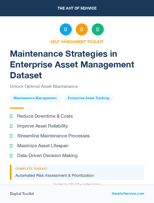 Maintenance Strategies in Enterprise Asset Management Dataset