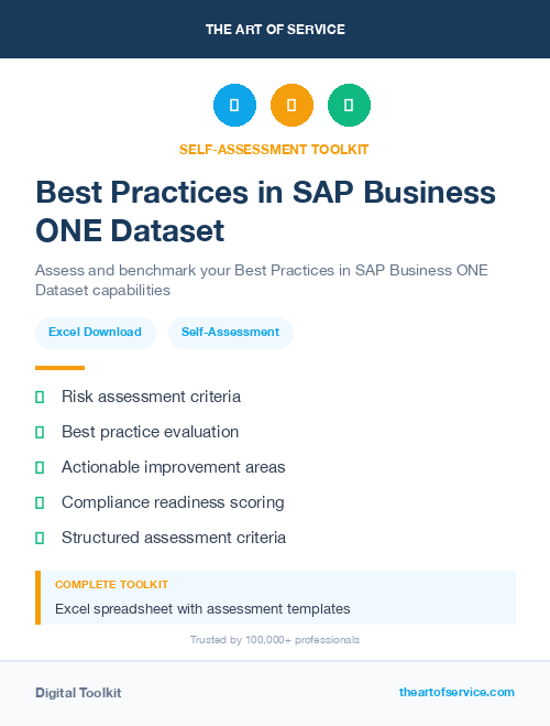 Best Practices in SAP Business ONE Dataset