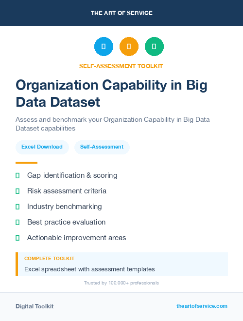 Organization Capability in Big Data Dataset