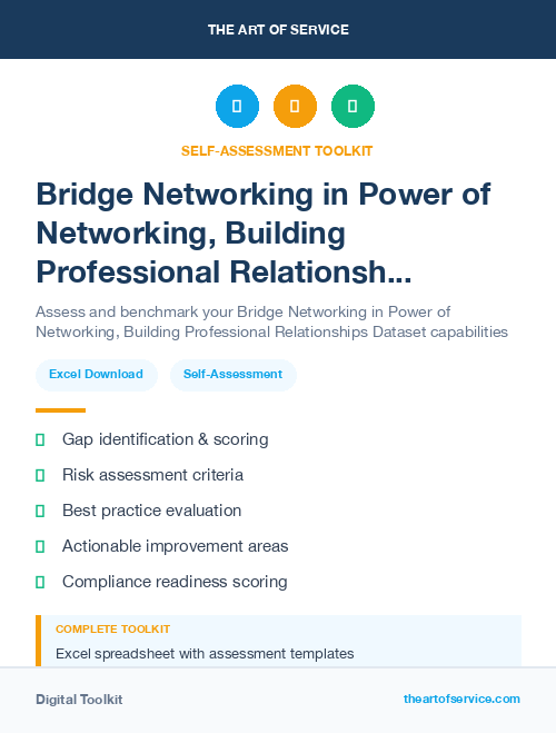 Bridge Networking in Power of Networking, Building Professional Relationships Dataset