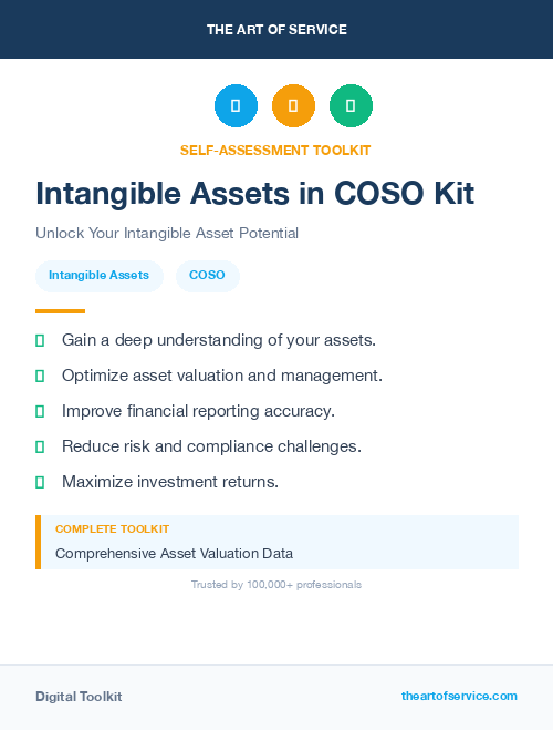 Intangible Assets in COSO Kit