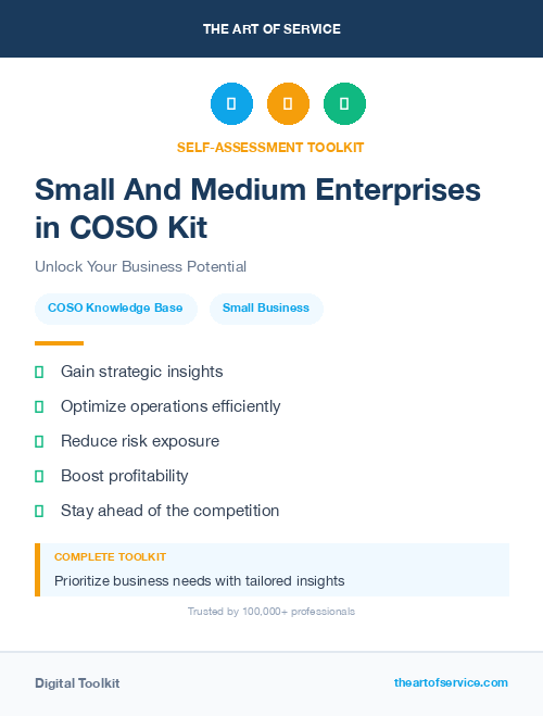 Small And Medium Enterprises in COSO Kit