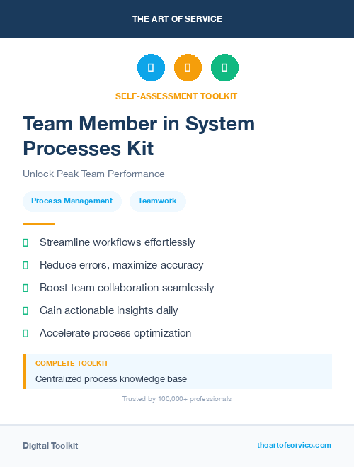 Team Member in System Processes Kit
