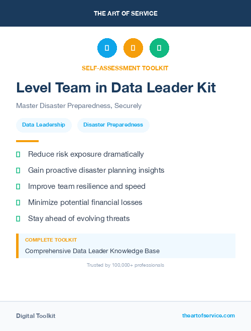 Level Team in Data Leader Kit