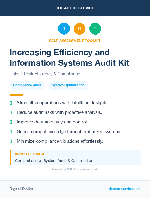 Increasing Efficiency and Information Systems Audit Kit