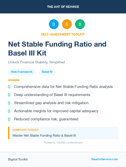 Net Stable Funding Ratio and Basel III Kit