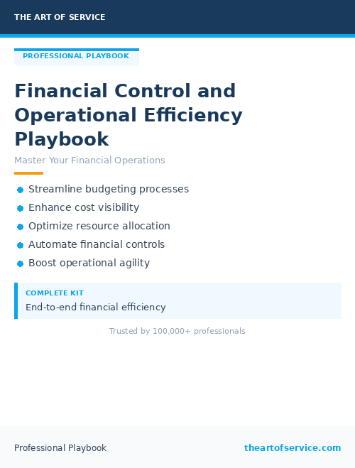 Financial Control and Operational Efficiency Playbook