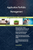 Application Portfolio Management Toolkit