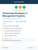 Technology Strategies in Management Systems