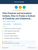 Pilot Projects and Innovation Culture, How to Foster a Culture of Creativity and Collaboration in Your Organization Kit