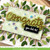 Lawn Fawn Dies  Scripty Congrats Outline Add-On LF3736