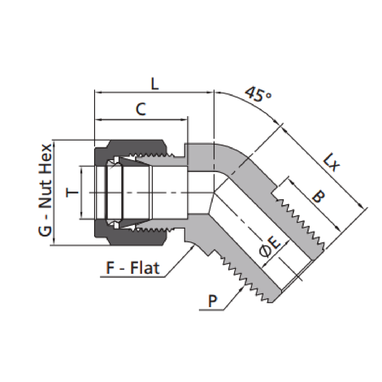 45 Male Elbow - Drawing