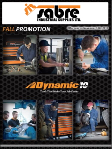 dynamic-fall.jpg dynamic-fall.jpg