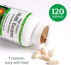 Natural Factors High Potency Multi Enzyme Vegetarian Formula PlantBased Digestive Aid 120 Capsules