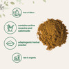 Pure Organic Rhodiola Rosea Powder 50 Grams Filler Free Adaptogenic Herb with Active Rosavins and Salidroside Strongly Supports Energy Production Focus and Attention No GMOs