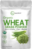 Sustainably US Grown Organic Wheat Grass Powder 100 WholeLeaf 10 Ounce 94 Serving Rich in Immune Vitamins Fibers and Minerals Support Digestion Function Vegan Friendly