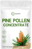 Pure Pine Pollen Powder 6 Ounce Wild Harvest an Broken Cell Wall Supports Immune System Health Boosts Energy Antioxidant  Androgenic No GMOs Vegan Friendly