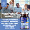 N1N Premium Blood Circulation Supplement 8 Powerful Herbs  Vitamins and Adrenal Support  Cortisol Manager 13 Potent Ingredients Max Absorption to Support Heart Health Blood Circulation and Mo