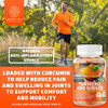 N1N Premium Iron Gummies 11 Powerful Ingredients and Turmeric Curcumin Gummies with Ginger to Support Joints Brain Functions and Fight Inflammation 2 Pack Bundle