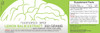 Lemon Balm Extract Powder 250 Grams  Support Healthy Stress Levels  Enhance Mood Focus and Sleep