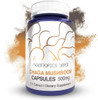 Chaga Mushroom Capsules  500mg  180 Count  Inonotus obliquus