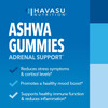 Havasu Nutrition Ashwagandha Gummies Stress Relief Gummy Vitamins  Anti Anxiety Supplements Designed to DeStress  Calm  Worlds First Chillest Ashwa Gummy  1500 mg Ashwagandha 60 Veggie Gummies