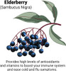 Approved ScienceImmune Booster  Extra Strength Support  Elderberry Extract Echinacea Vitamin D3 and C Zinc  All Natural  180 Capsules  3 Months Supply