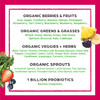 Orgain Bundle  Berry Superfoods Powder and Peanut Butter Protein Powder  Made without Gluten NonGMO