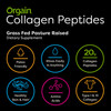 Orgain Grass Fed Hydrolyzed Collagen Peptides Protein Powder  Paleo  Keto Friendly Amino Acid Supplement Pasture Raised  Grass Fed Clean Protein Shake Creamy Chocolate Fudge  Meal Replacement