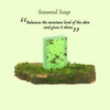 Nassui Handmade Natural Algae Soap green