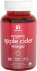 Organic Apple Cider Vinegar Gummies with The Mother USDA Organic Vegan Certified  NonGMO Verified 60 Vegan Gummies
