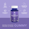 Elderberry Gummies Concentrate 651 with Vitamin C Zinc  Probiotics for Immune Support  Gut Health  USDA Organic Vegan Certified  NonGMO Verified 120 Pectin Gummies