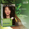 Clairol Natural Instincts Demi-Permanent Hair Dye 4 Dark Brown  Ammonia Free Vegan Hair Color with Coconut Oil and  Aloe Vera  Pack of 1
