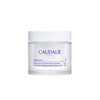 Caudalie Vinoperfect Dark Spot Moisturizer with Niacinamide  1.7 Fl. Oz