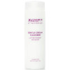 Alchimie Forever Gentle Cream Cleanser