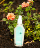 Radha Beauty Rose Water Toner  USDA Organic 100 Pure Moroccan Rosewater