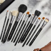 Sigma Beauty Essential Kit Set of 12 Brushes CK001