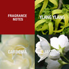 Womens Perfume Fragrance by Paul Sebastian Day or Night Soft Floral Scent DESIGN 3.4 Fl Oz