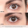 Full Lash and Brow Serum