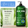 New York Biology Aloe Vera Gel for Face Skin and Hair  Infused with Stem Cell  From Fresh Aloe Vera Plant  Moisturizing Aloe Vera for Sunburn Relief and Dry Skin  16 oz