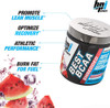 BPI Sports Best BCAA Shredded - Converts Fat to Energy - Weight Loss and Lean Muscle Support - Post-Workout Recovery - Watermelon Ice, 25 Servings, 275 g