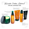 Rene Furterer KARTIE NUTRI Intense Nourishing Overnight Care, No-Rinse Treatment, Shea Oil, Shea Butter